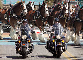 Police bike page horse